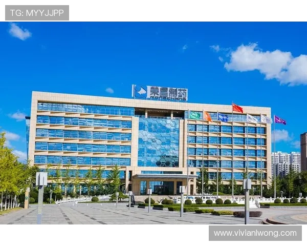 凯发集团官网安全保障措施解析，保障玩家资金与个人信息安全